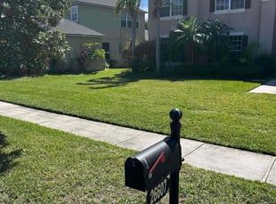 Anthony A.'s lawn care service result