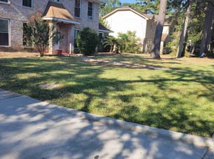 Nan C.'s lawn care services service result