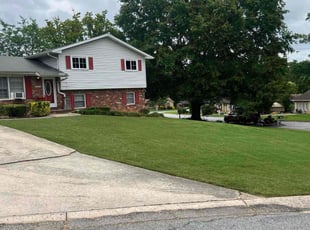 Mike M.'s turf maintenance service result