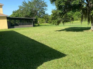 Larry S.'s turf care service result