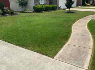 Terry L.'s lawn service service result
