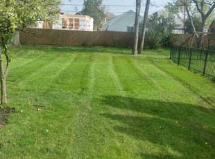 Brandon H.'s lawn service service result