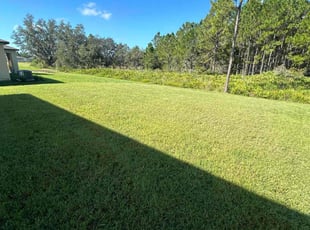 Judith D.'s grass maintenance service result