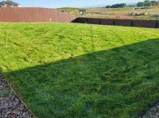 Sandy T.'s lawn care service result