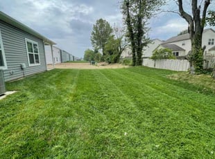 Brian O.'s grass maintenance service result