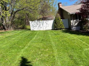 Lewis G.'s turf maintenance service result