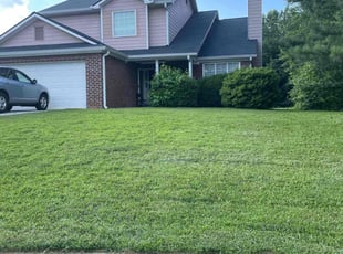 Brian D.'s lawn maintenance service result