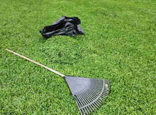 Lisa L.'s turf maintenance service result