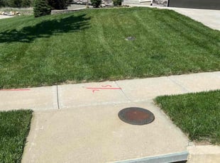 Sidat N.'s Lawn Mowing service result