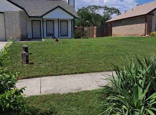 Carl H.'s turf care service result