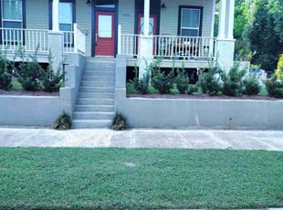 Renzie B.'s turf maintenance service result