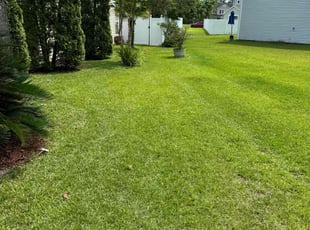 Erin P.'s grass cutting service result