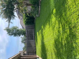 Cody G.'s lawn care services service result