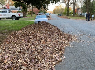 Chad Y.'s Leaf Removal service result
