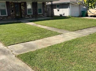 Dani H.'s grass cutting service result