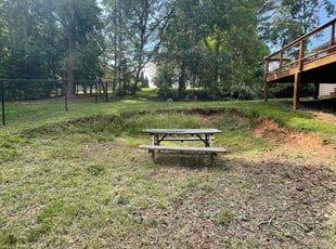 David M.'s Bush Trimming service result