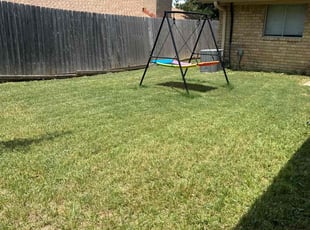 Katelin H.'s grass cutting service result