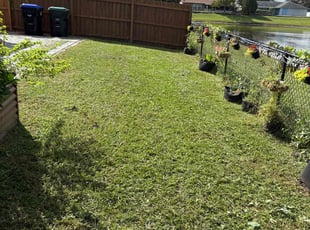 Matthew M.'s turf maintenance service result