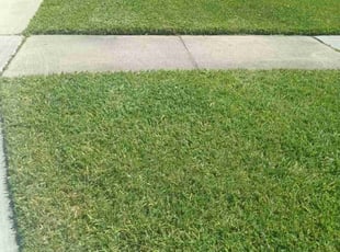 Nisly J.'s lawn care services service result