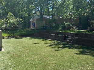 Kim R.'s Leaf Removal service result