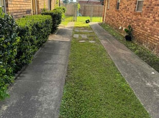 Ileana V.'s lawn care services service result