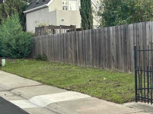 Jorge P.'s Cleanup service result