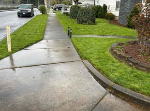 Michael T.'s landscape maintenance service result