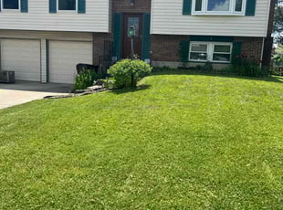 Rebeccah Z.'s lawn care service result