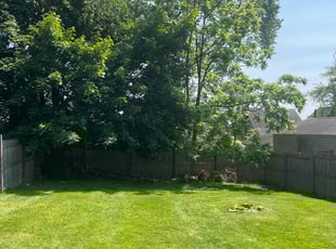 Leo W.'s lawn maintenance service result