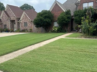 Debra B.'s lawn care service result