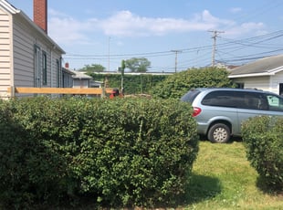 Jeanette H.'s Bush Trimming service result