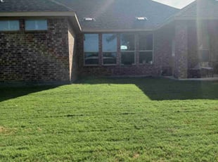 Richard H.'s grass cutting service result