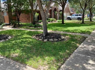 Tiffany L.'s grass maintenance service result