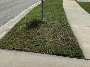 Patrice M.'s lawn care services service result