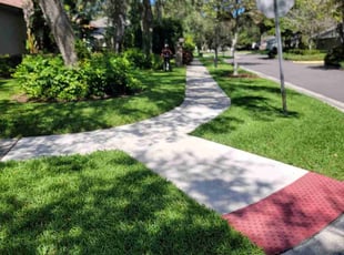 Lauren P.'s lawn care service result
