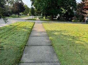 Dave M.'s turf care service result