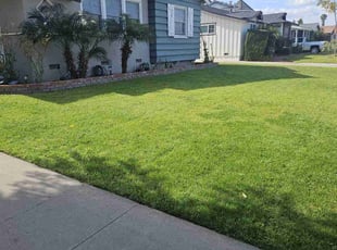 Tawanda J.'s grass cutting service result