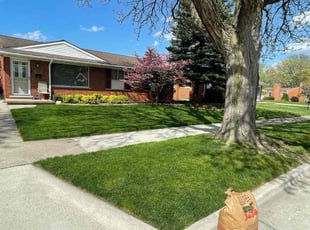 Deb L.'s grass maintenance service result
