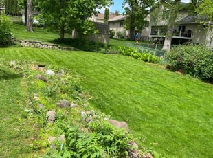 Lisa P.'s lawn care service result
