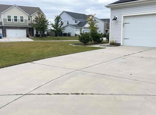 Jerrie M.'s turf care service result