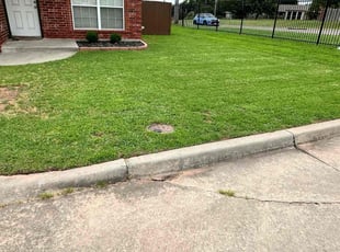 Kim D.'s turf care service result