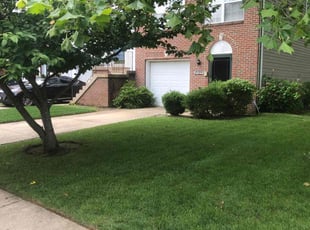 Noah W.'s lawn maintenance service result