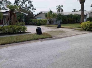 Scarlett G.'s Long Grass Cleanup service result