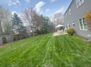 Tracy S.'s grass maintenance service result