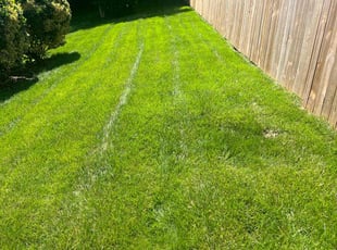 Kathy L.'s lawn service service result