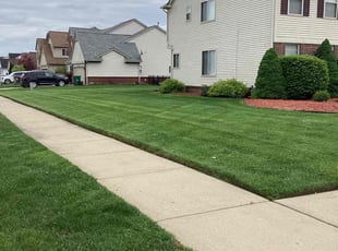 Eric W.'s grass maintenance service result