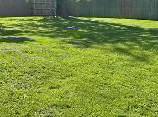 Jennifer k.'s lawn service service result