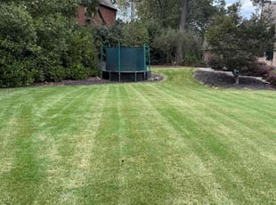 Bernard A.'s lawn care service result