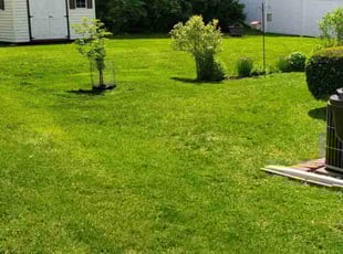 James I.'s grass cutting service result