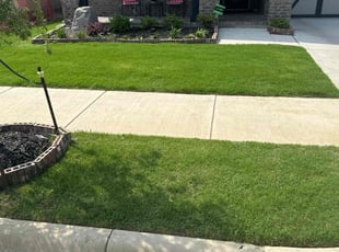 Robert D.'s grass maintenance service result